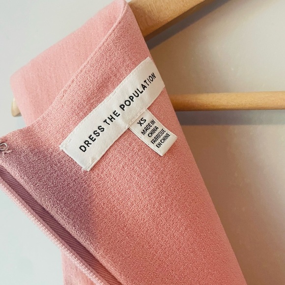 Dress the Population Blush Pink Sheath Dress - Picture 8 of 8